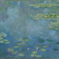 クロード・モネ 《睡蓮》1906年頃 / 73.0 × 92.5 cm / 油彩・カンヴァス