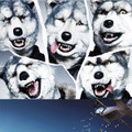 「MAN WITH A MISSION」、ノーCGの究極アクション『X-ミッション』に楽曲提供へ・画像