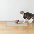 2月22日“猫の日”に捧げる、猫のための陶器「猫用水飲み器」が誕生・画像