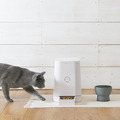 RINN Inc.が新作猫用水飲み器「Cat Water Bowl」の予約注文受付を開始