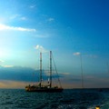 「海洋アドベンチャー タラ号の大冒険」