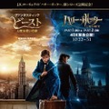 『ファンタスティック・ビーストと魔法使いの旅』×『ハリー・ポッターと死の秘宝Part1＆Part2』4DX上映　（C）2015 WARNER BROS ENTERTAINMENT INC. ALL RIGHTS RESERVED