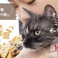 「相撲部屋の幸せな猫たち」　（C）libre 2016