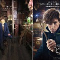 ざわちんがニュートに!?『ファンタスティック・ビーストと魔法使いの旅』　(C) 2016 Warner Bros. Ent.  All Rights Reserved.Harry Potter and Fantastic Beasts Publishing Rights (C) JKR.