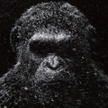 『猿の惑星』最新作、人類vs猿たちの大戦記“グレート・ウォー”来年公開決定・画像