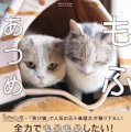 写真集「もふあつめ」～映画「ねこあつめの家」Official Photo Book～