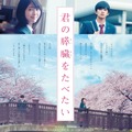 浜辺美波＆北村匠海、“過去と現在”が交差する『君の膵臓をたべたい』ティザーポスタービジュアル公開！・画像