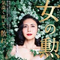 「山崎豊子ドラマスペシャル　女の勲章」