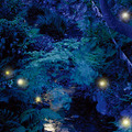 ふわりと蛍が舞う景色 「ホテル椿山荘東京」初夏の風物詩「ほたるの夕べ ディナーブッフェ」・画像