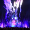 「Celebrate! Tokyo Disneyland」