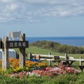 ロケ地となった海の見える牧場の実風景