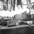 『ROMA』（原題） (C) Netflix