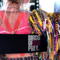 『Birds of Prey』（原題） (C) APOLLO