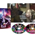 スチールブック仕様 4K ULTRA HD ブルーレイセット展開BIRDS OF PREY TM & （c） DC. Birds of Prey and the Fantabulous Emancipation of One Harley Quinn（c） 2020 Warner Bros. Entertainment Inc. All rights reserved.