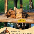 中村倫也がナレーションを担当！劇場版第2弾『岩合光昭の世界ネコ歩き』公開・画像