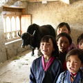 「それぞれの伝統文化を大切に」『ブータン 山の教室』監督が日本の学校とオンラインで繋がる・画像
