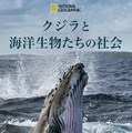 人間と変わらぬ家族愛も…海洋ドキュメンタリー「クジラと海洋生物の社会」日本版予告編・画像