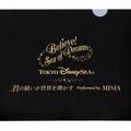 クリアホルダー400円(C) Disney (C) Disney/Pixar