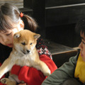 『マリと子犬の物語』 -(C) 2007 「マリと子犬の物語」製作委員会