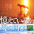 『キタキツネ物語【３５周年リニューアル版】』-（C）1978,2013 SANRIO CO.,LTD.TOKYO,JAPAN