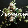 Riley Messina ＆ Parker Fitzgerald「Overgrowth」