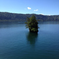 遊覧船から見た十和田湖の風景