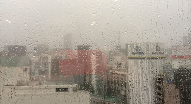 雨の映画