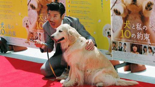世界のナベアツと『犬と私の10の約束』に出演したソックス。