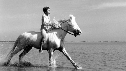 『白い馬』 -(C) &COPY; Copyright Films Montsouris 1956