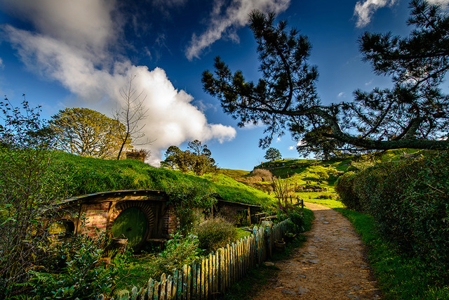 ホビット庄-(C) “Hobbiton Movie Set Tours” for Hobbiton