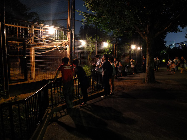 園内風景／上野動物園　写真：（公財）東京動物園協会