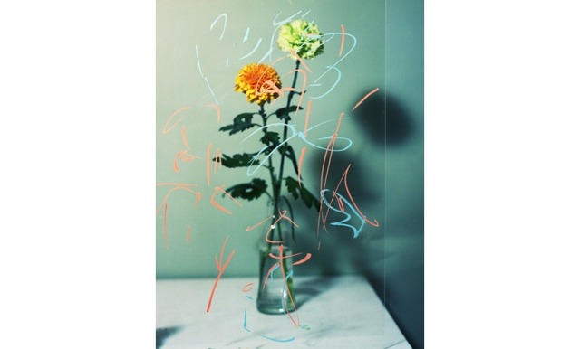 表参道・スパイラル「Nature Creations -Flowers-」。田中和人『pLastic fLowers』（2015）analog chromogenic print (hand printed by artist)Courtesy of Maki Fine Arts
