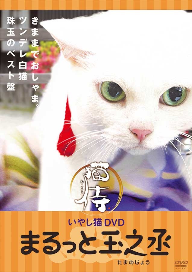 「猫侍 いやし猫DVD まるっと玉之丞」ジャケットｰ(C)2016「猫侍SP」製作委員会