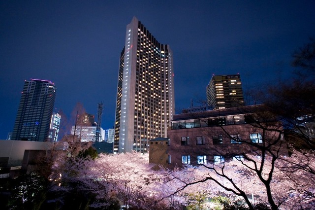東京・赤坂の「ANAインターコンチネンタルホテル東京」に隣接するアークヒルズの桜並木
