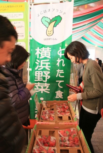 「ヨコハマストロベリーフェスティバル」2016年の様子　苺の直売所