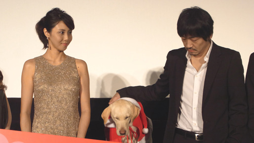 『犬とあなたの物語 　いぬのえいが』プレミア試写会　photo：Yoko Saito