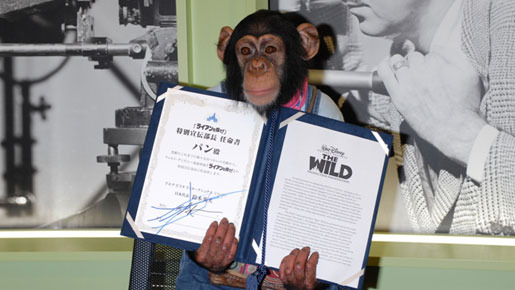 「天才！志村どうぶつ園」チンパンジーのパン君『ライアンを探せ！』特別宣伝部長に就任　メイン