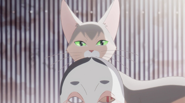 Netflixアニメ映画『泣きたい私は猫をかぶる』（C） 2020 「泣きたい私は猫をかぶる」製作委員会