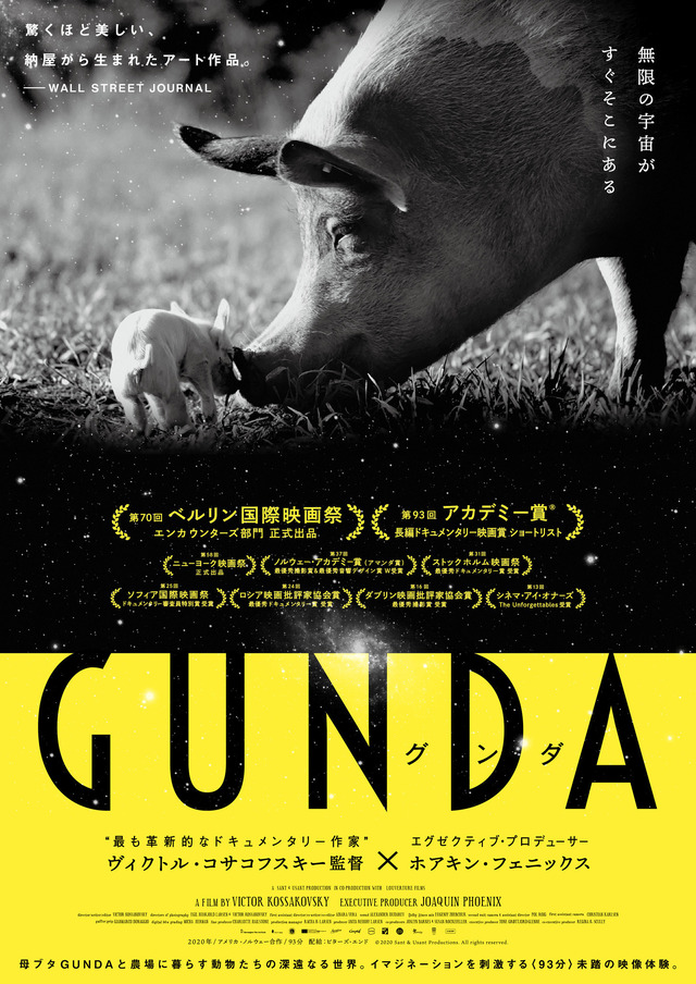 『GUNDA／グンダ』（C）2020 Sant & Usant Productions. All rights reserved.