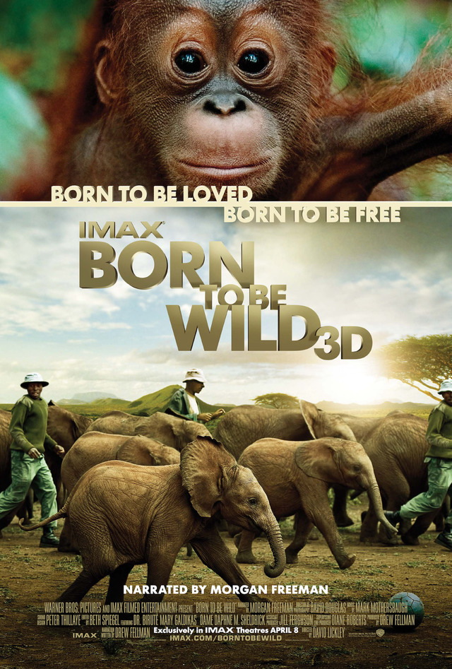 『Born To Be Wild 3D -野生に生きる-』©2010 Warner Bros. Ent. All Rights Reserved
