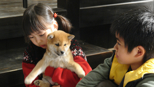 『マリと子犬の物語』 -(C) 2007 「マリと子犬の物語」製作委員会
