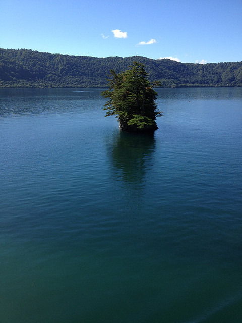 遊覧船から見た十和田湖の風景