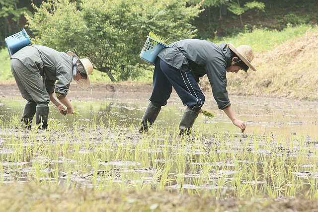 『家路』　- (C)2014『家路』製作委員会　WOWOWFILMS