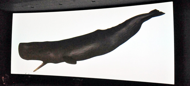 実物大のマッコウクジラを投影した、巨大スクリーン「TCX」／シネマコンプレックス「TOHOシネマズ 日本橋」記者会見