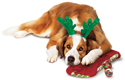 映画『クーパー家の晩餐会』”