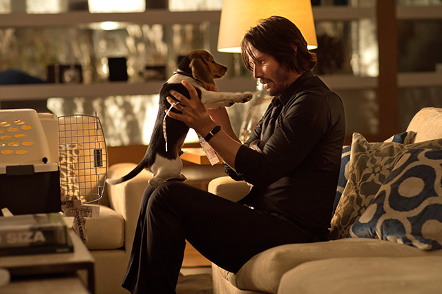 JOHN WICK