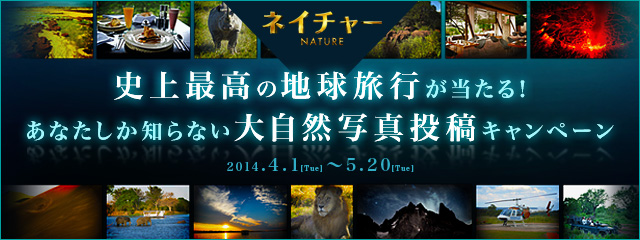 「ANAワンダーアース」誘導バナー