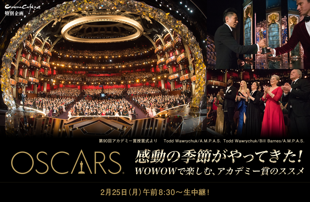 感動の季節がやってきた Wowowで楽しむ アカデミー賞のススメ 2 ページ目 Cinemacafe Net