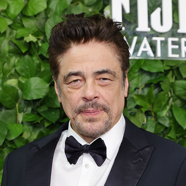 ベニチオ・デル・トロ