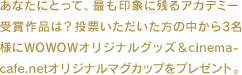 あなたにとって、最も印象に残るアカデミー受賞作品は？投票いただいた方の中から3名様にWOWOWオリジナルグッズ＆cinemacafe.netオリジナルマグカップをプレゼント。